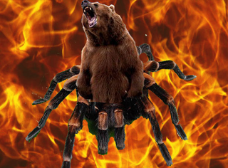 Illustration for article titled Syfy's next hybrid monster should be Bearantula!